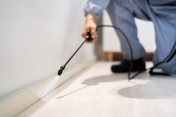 Licensed Fumigation Services service in Morgan County County, KY - Nex Pest Control